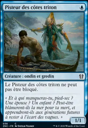 Pisteur des côtes triton
