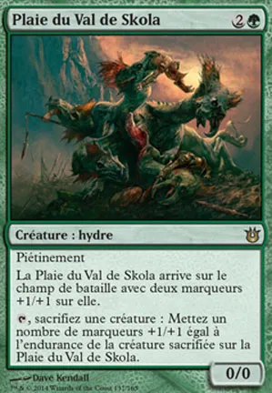 Plaie du Val de Skola