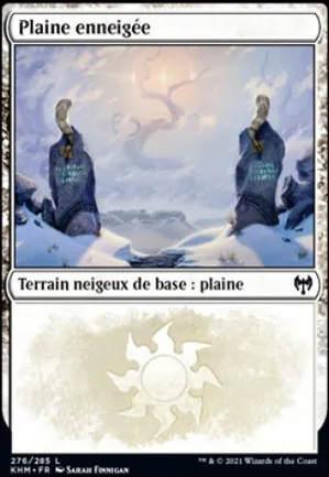 Plaine enneigée