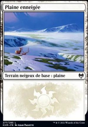 Plaine enneigée