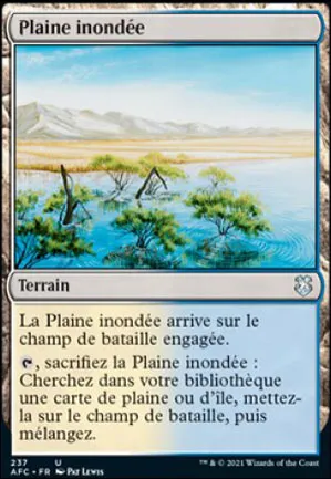 Plaine inondée