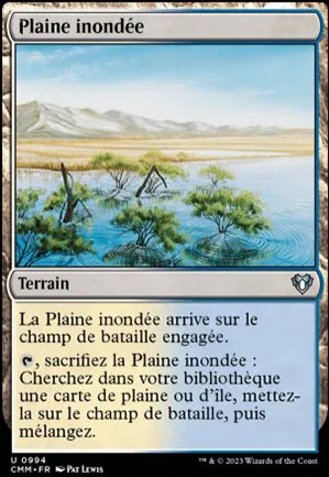 Plaine inondée