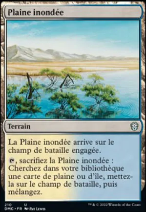 Plaine inondée
