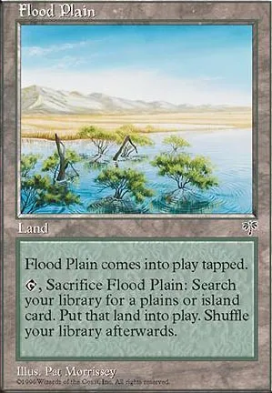 Plaine inondée