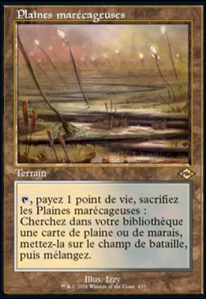 Plaines marécageuses