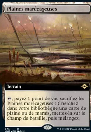 Plaines marécageuses