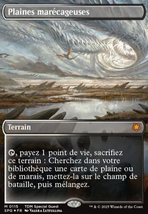 Plaines marécageuses