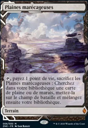 Plaines marécageuses