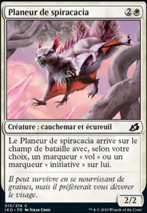 Planeur de spiracacia