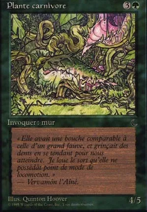 Plante carnivore