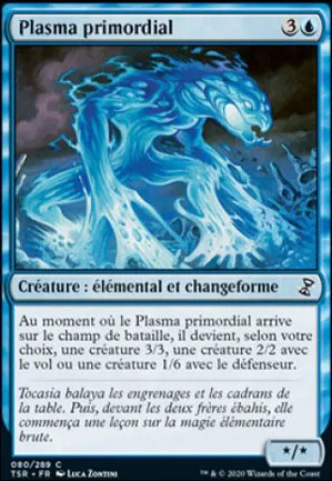 Plasma primordial