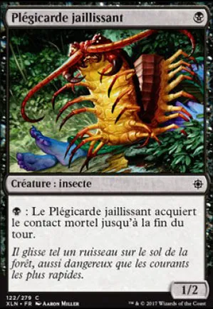 Plégicarde jaillissant