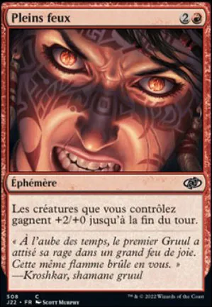Pleins feux