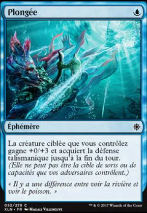 Plongée