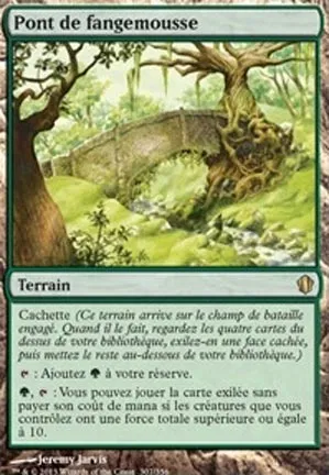 Pont de fangemousse