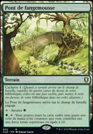 Pont de fangemousse