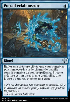 Portail éclaboussure