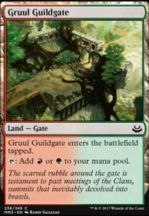 Porte de la guilde de Gruul