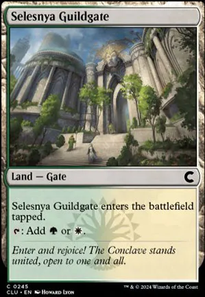 Porte de la guilde de Selesnya
