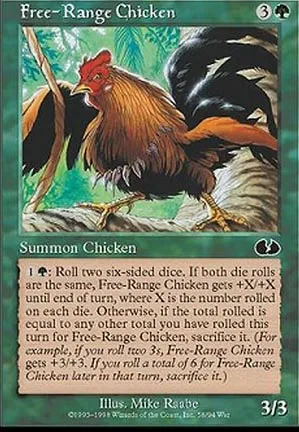 Poulet en liberté