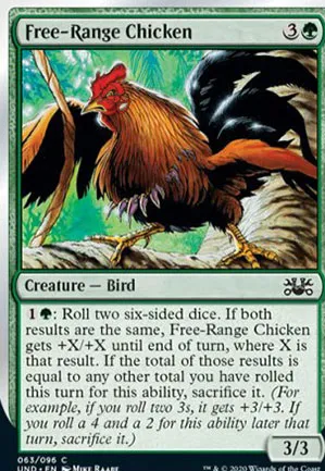 Poulet en liberté