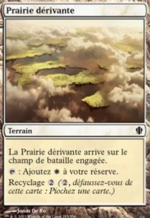 Prairie dérivante