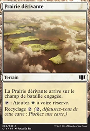 Prairie dérivante