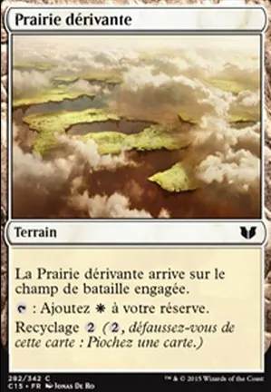 Prairie dérivante