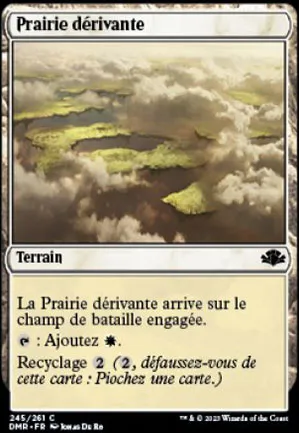 Prairie dérivante