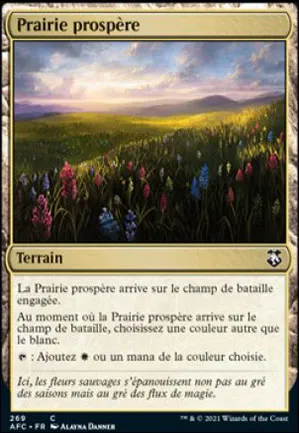 Prairie prospère