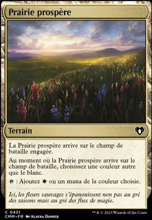 Prairie prospère
