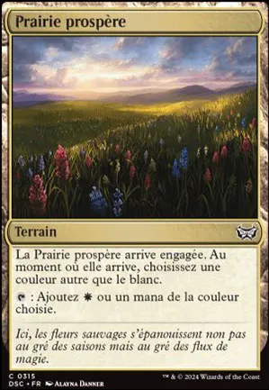 Prairie prospère