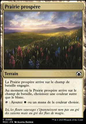 Prairie prospère