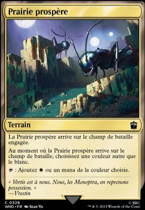 Prairie prospère