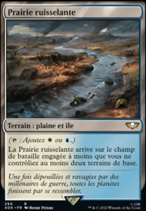 Prairie ruisselante