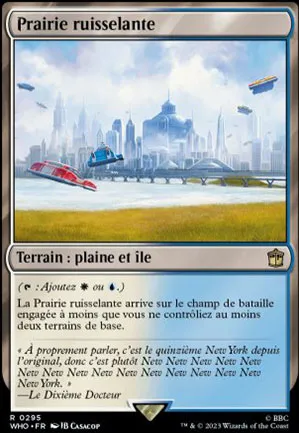 Prairie ruisselante