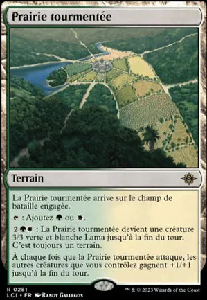 Prairie tourmentée