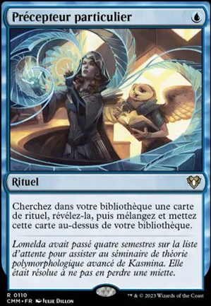Précepteur particulier