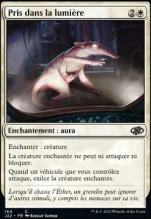Pris dans la lumière