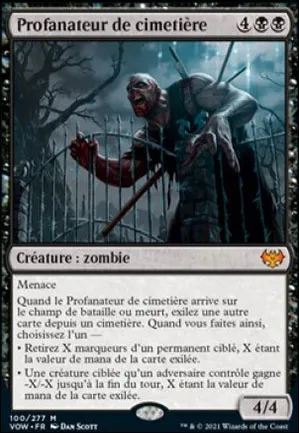 Profanateur de cimetière