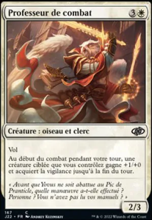 Professeur de combat