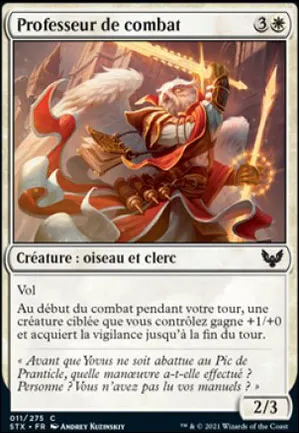 Professeur de combat