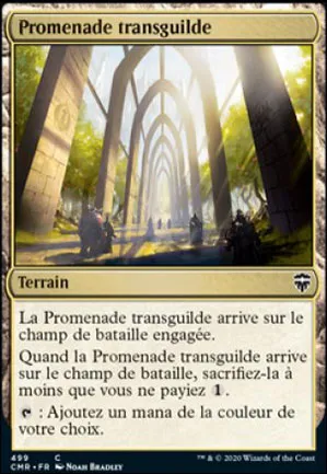 Promenade transguilde