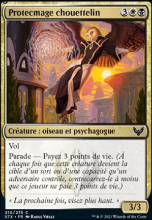 Protecmage chouettelin