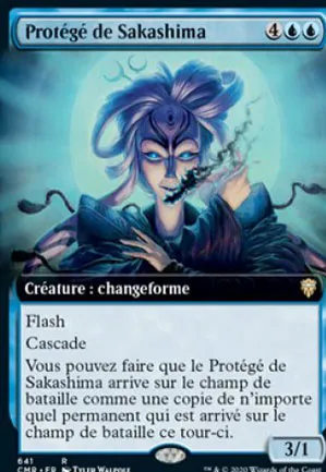 Protégé de Sakashima