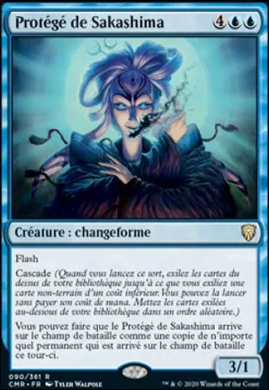 Protégé de Sakashima