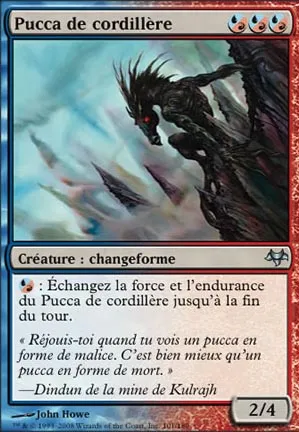 Pucca de cordillère
