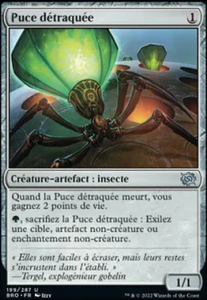 Puce détraquée