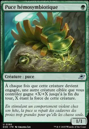 Puce hémosymbiotique