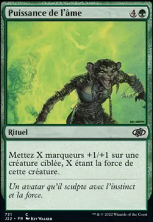 Puissance de l'âme